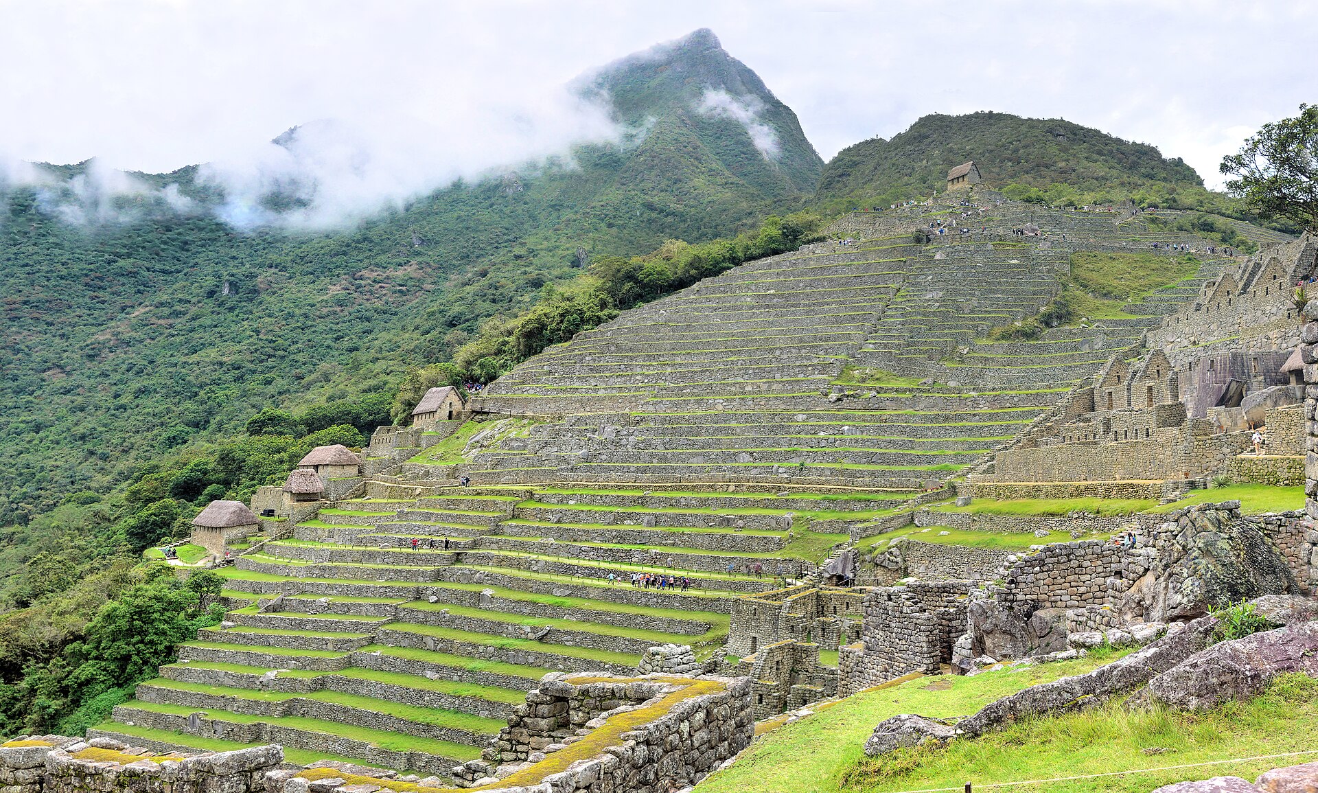 Extensive stepped Machu Picchu retaining-wall terraces descending toward cloud forest, with several thatched roof forms.