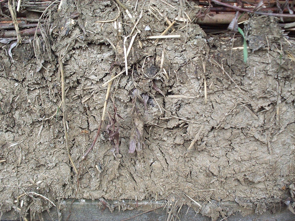 A museum craft panel with rough straw-flecked earth and exposed organic support at its edges.
