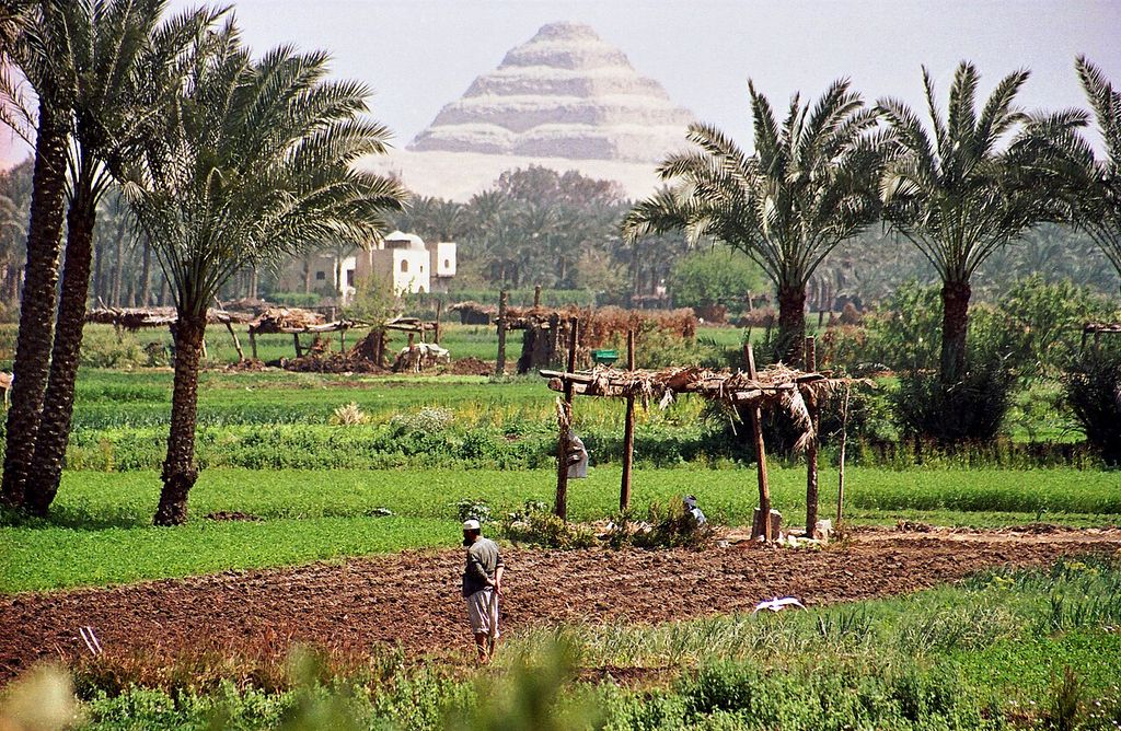Djoser’s stepped pyramid in the hazy distance beyond green fields, palm trees and farm shelters.