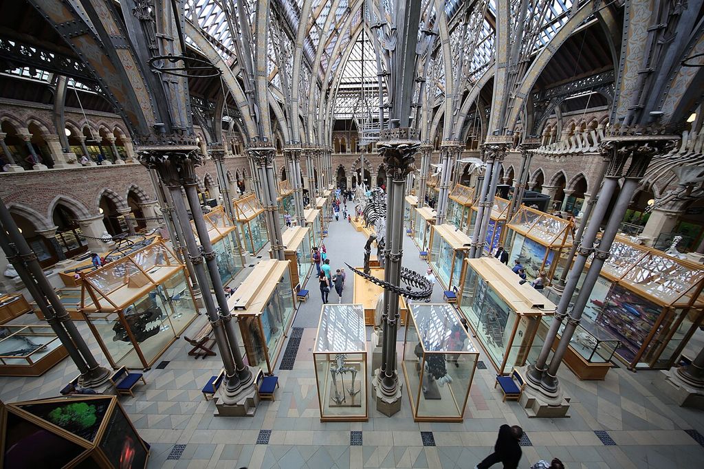 Decorated iron columns and roof members rise above display cases between two levels of masonry arcades.
