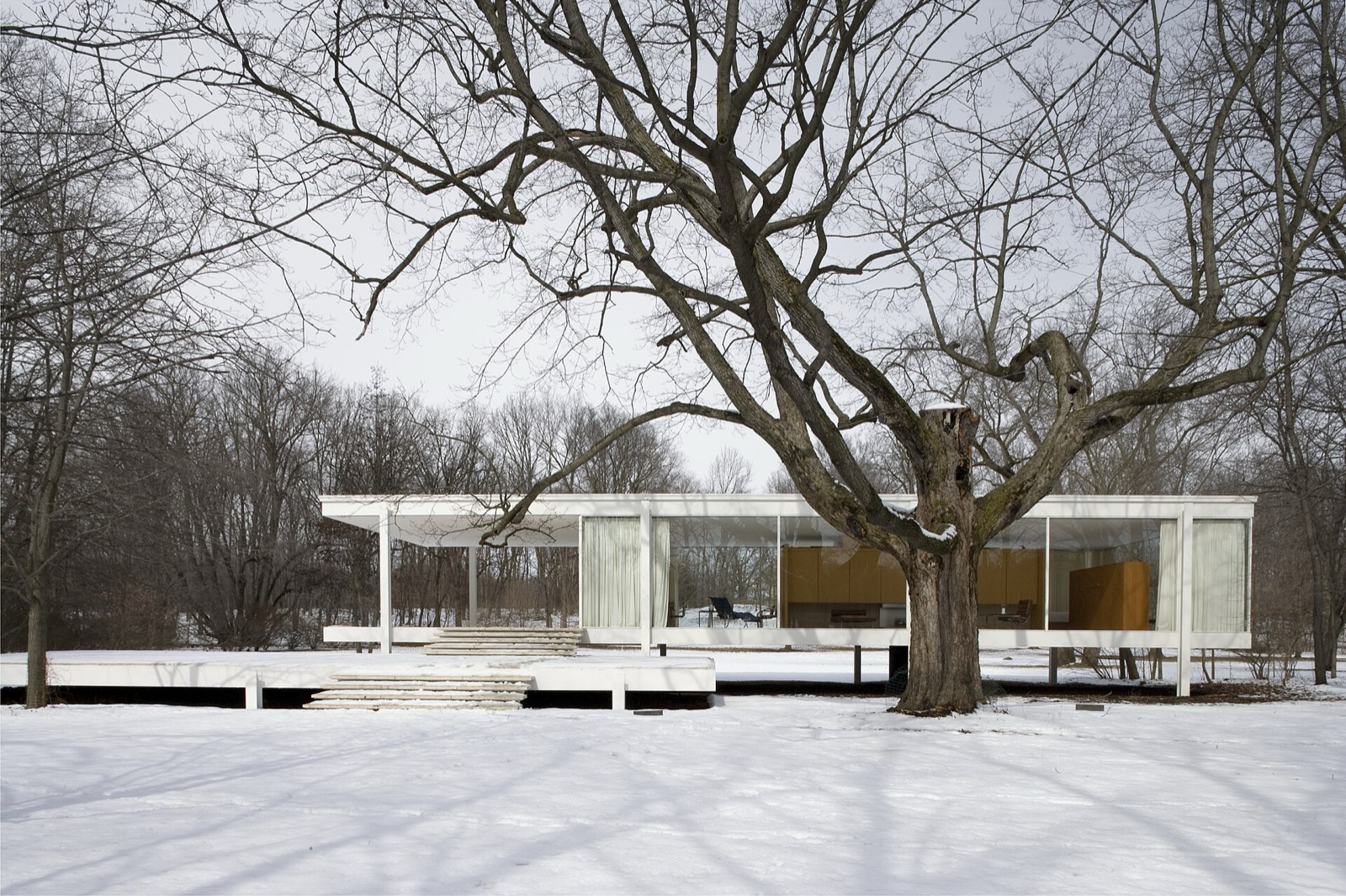 Datum architectural view