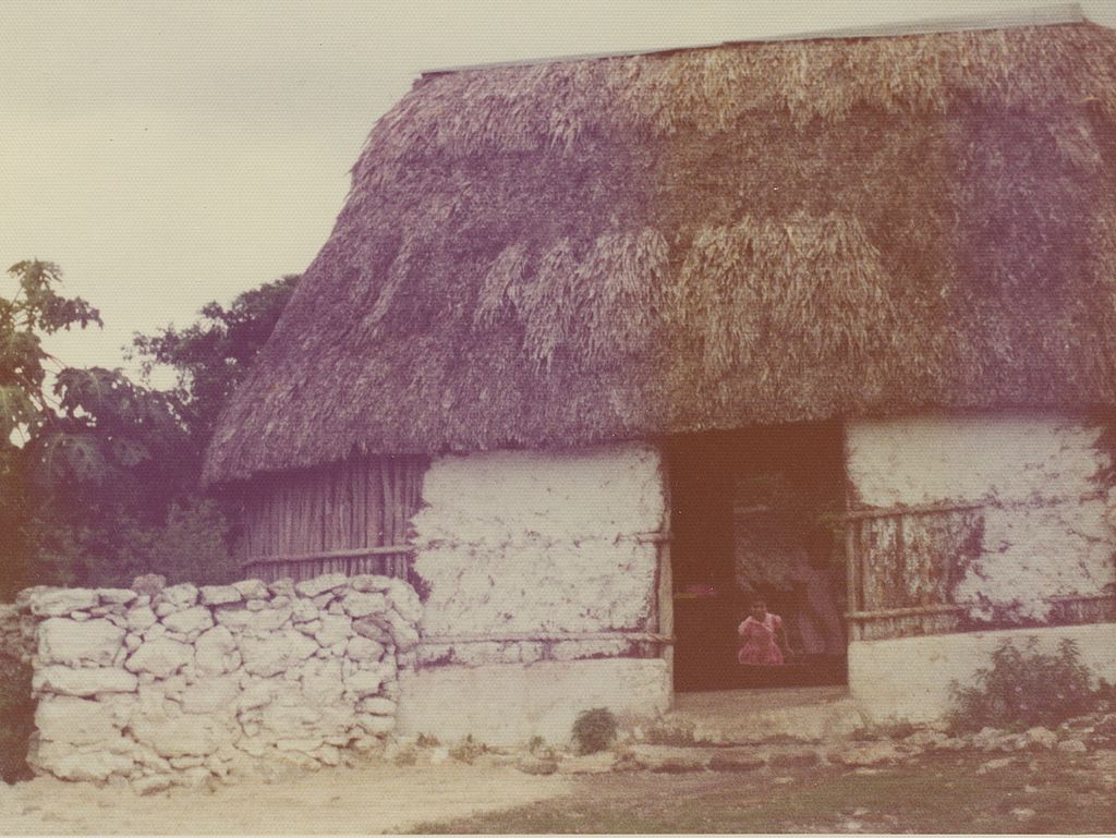 A faded 1973 photograph shows a steep thatched roof over pale wall panels and exposed pole framing, with a person in the doorway and a low stone wall in front.