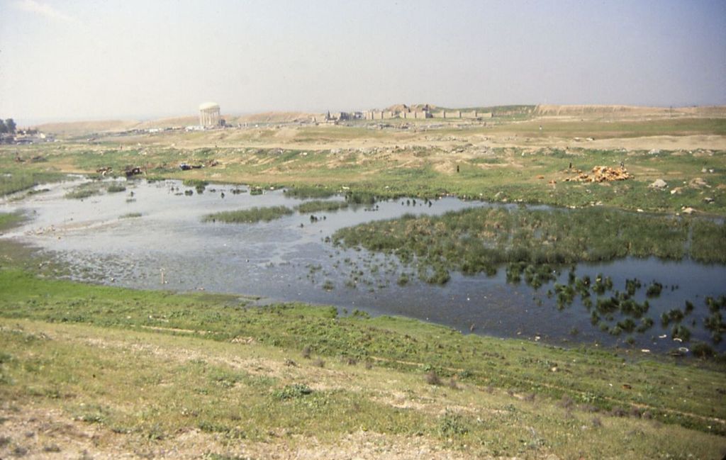 Wet grassland and shallow water fill the foreground, with a long low earth wall and a small reconstructed gate on the distant horizon.