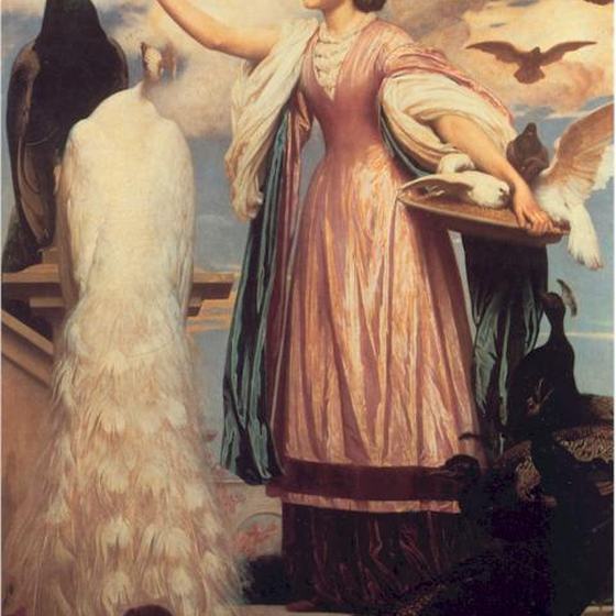 A Girl Feeding Peacocks