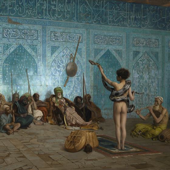 The Snake Charmer