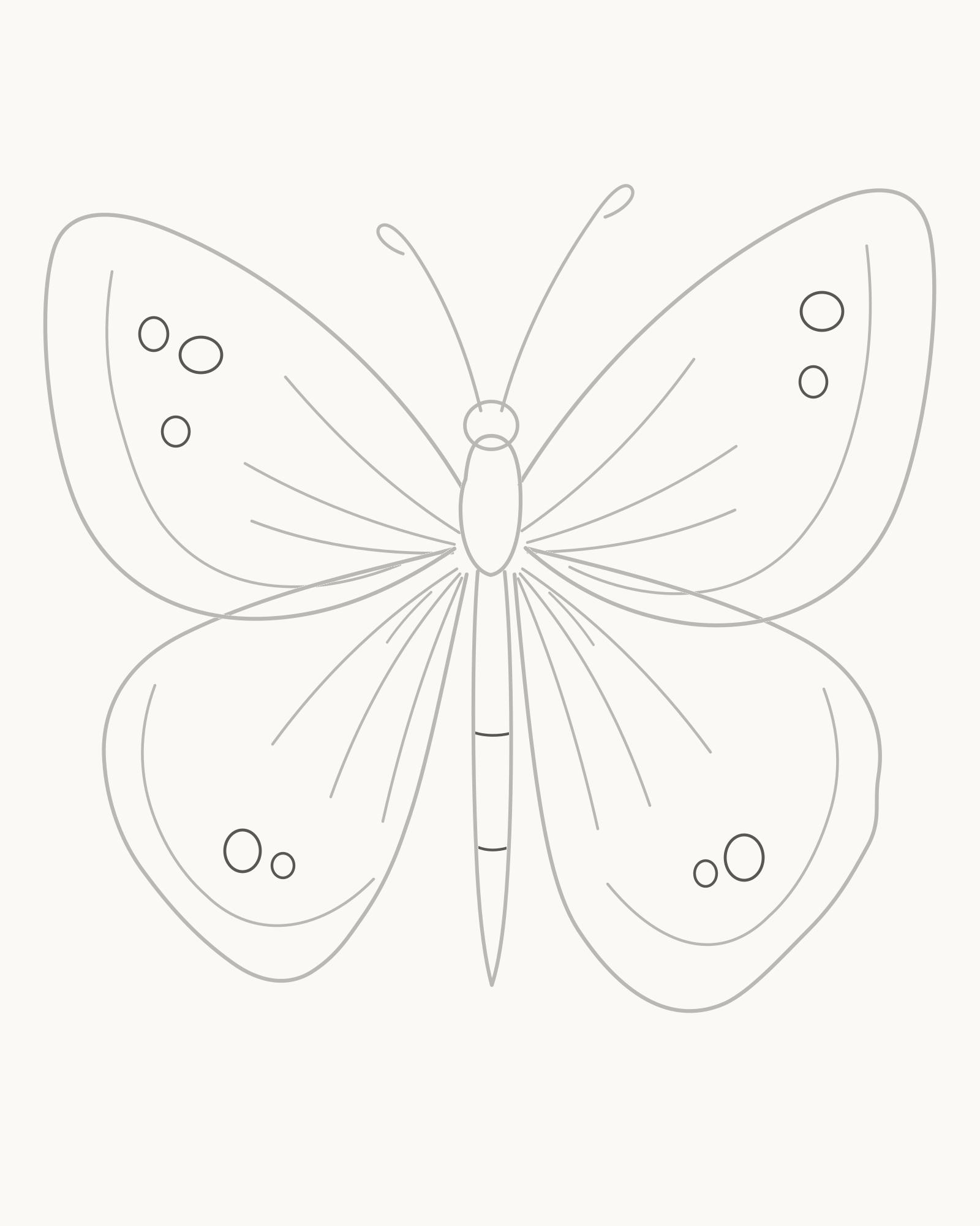 Stage 7 butterfly drawing adding unequal open wing spots and exactly two curved abdomen divisions