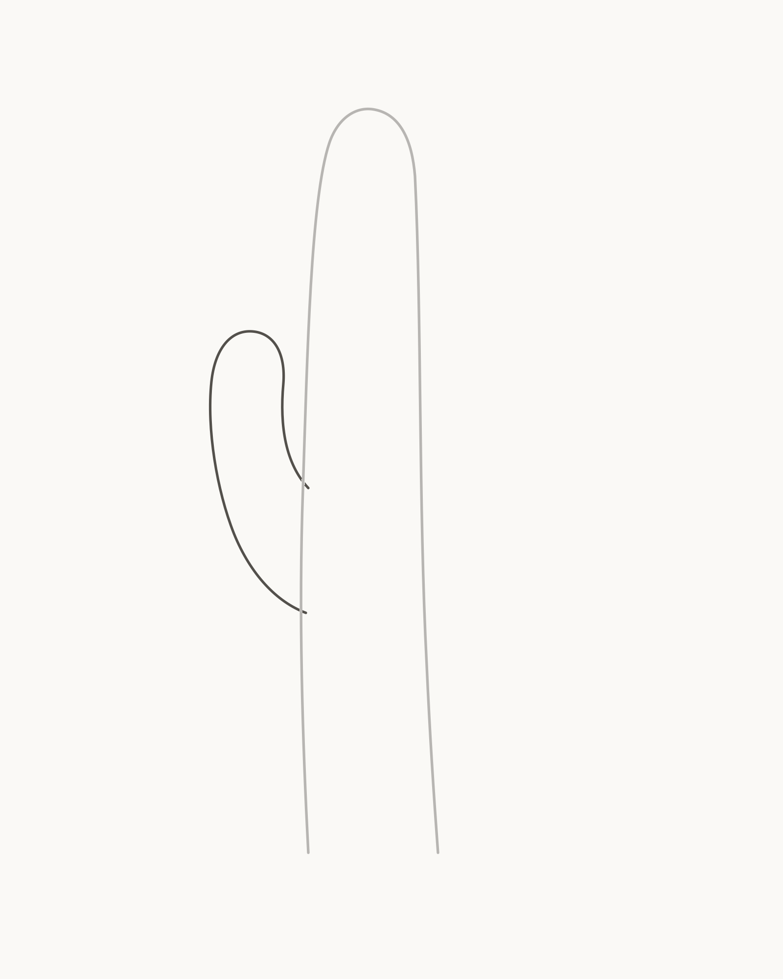 Stage 2 cactus drawing adding one shorter full left arm behind the central column