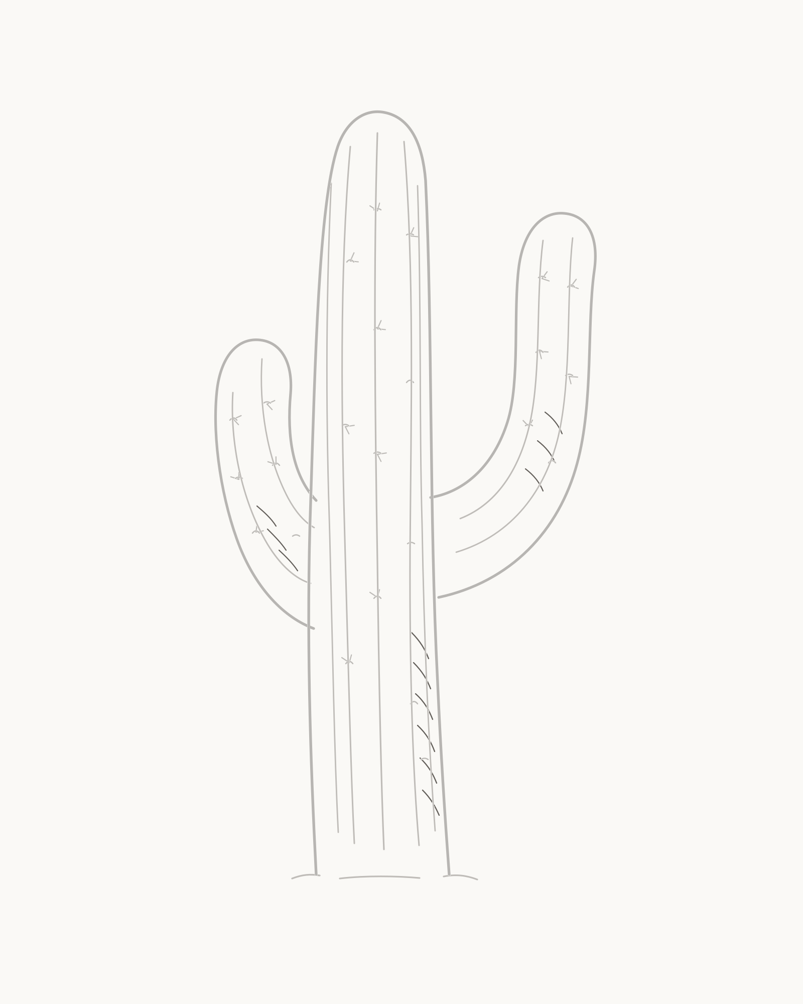 Stage 8 complete cactus line drawing with twelve sparse hatch strokes on lower-right surfaces