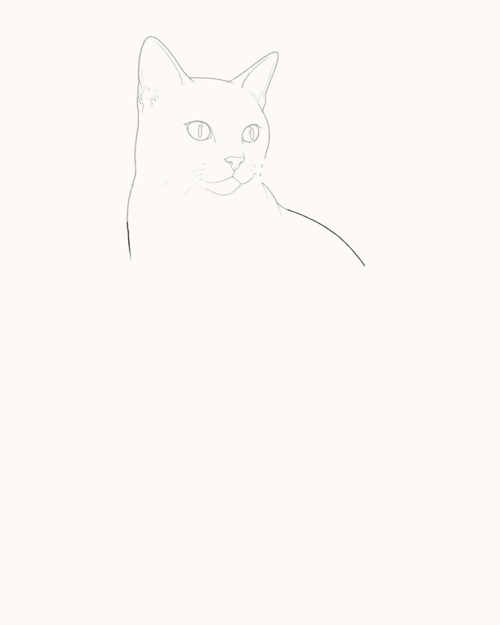 Stage 3 cat drawing adding a tapered neck, upright chest and long back sweep below the retained head