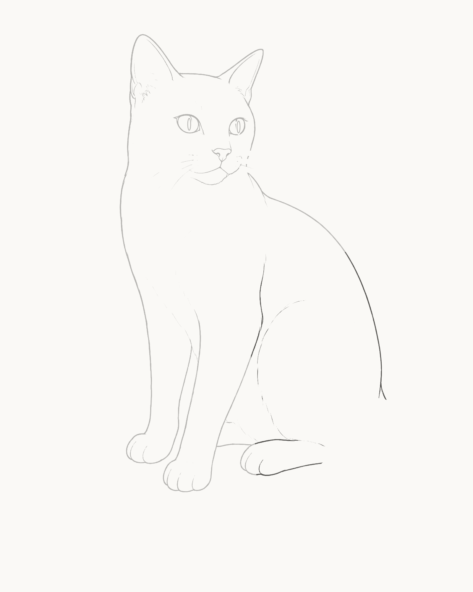 Stage 6 cat drawing adding the belly, attached broad thigh, rounded rump and grounded rear paw