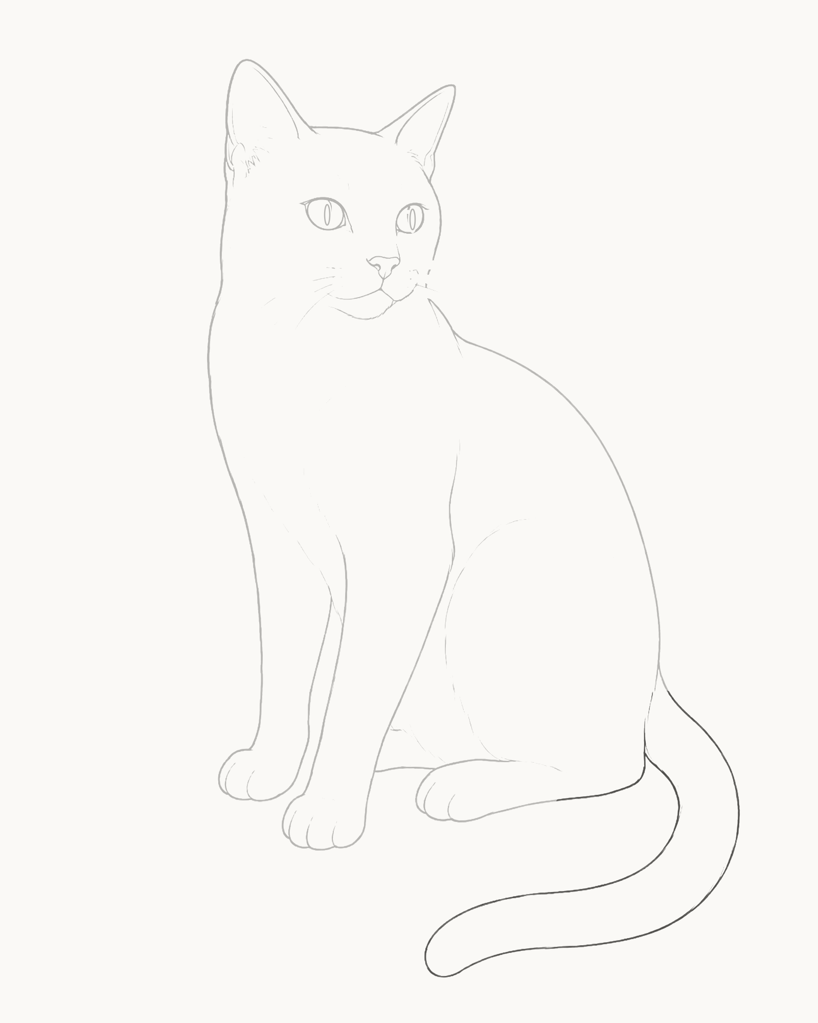 Stage 7 cat drawing adding a tapered two-edge tail curling from a hidden root behind the rump
