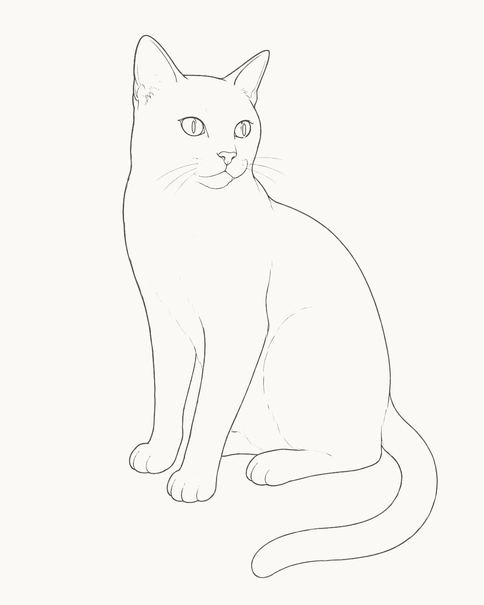 Complete line drawing of a calm seated short-haired cat with unequal ears, grounded paws, broad hindquarter, tapered tail and six whiskers