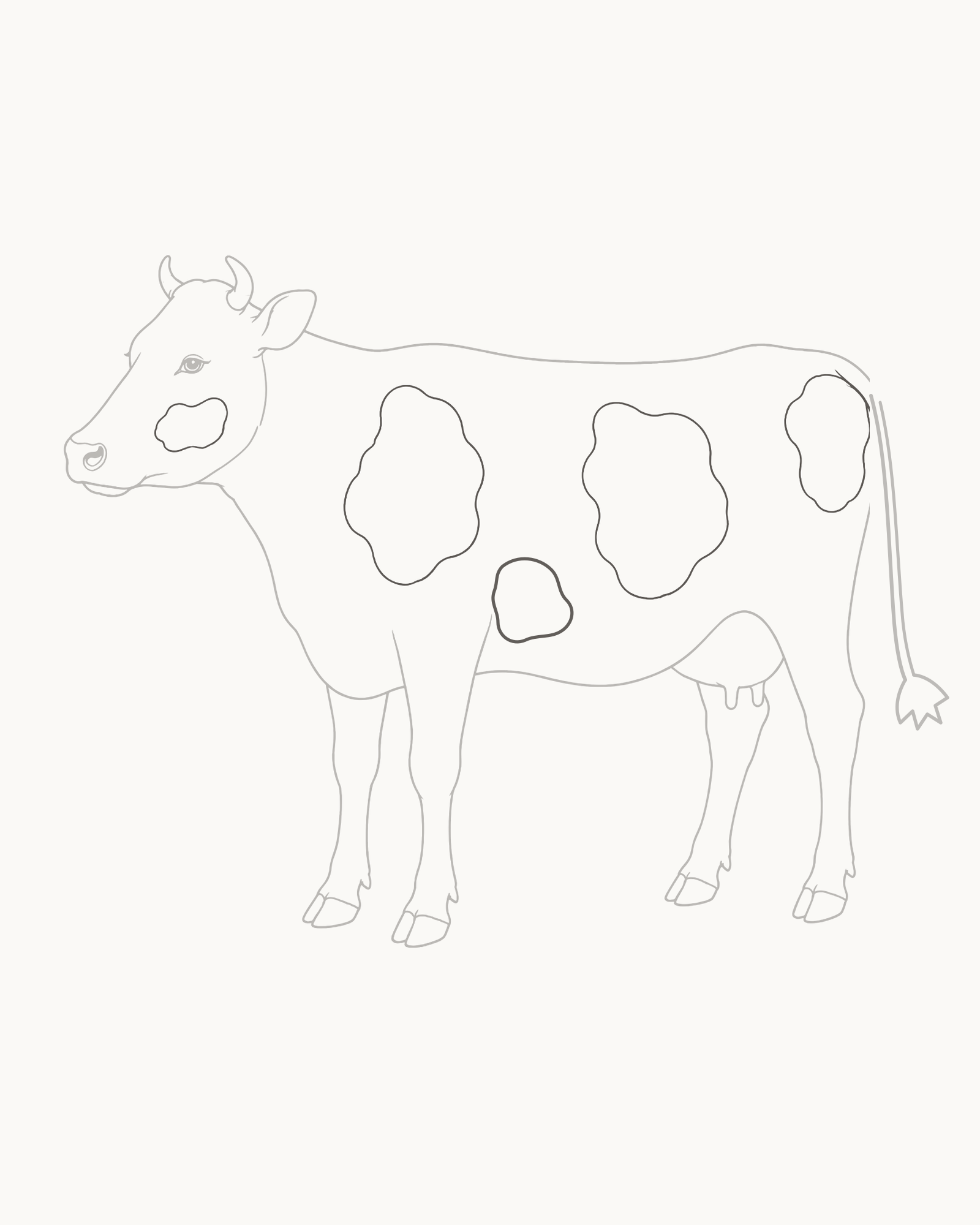Stage 9 complete cow line drawing adding five open irregular coat patches on the cheek, shoulder, barrel and rump