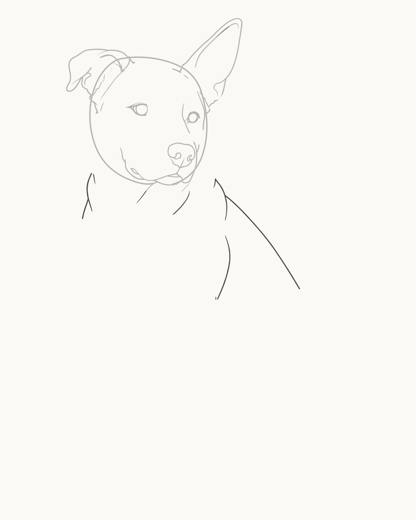 Stage 4 dog drawing adding the neck, broad chest, sloping back and rounded rump with leg gaps