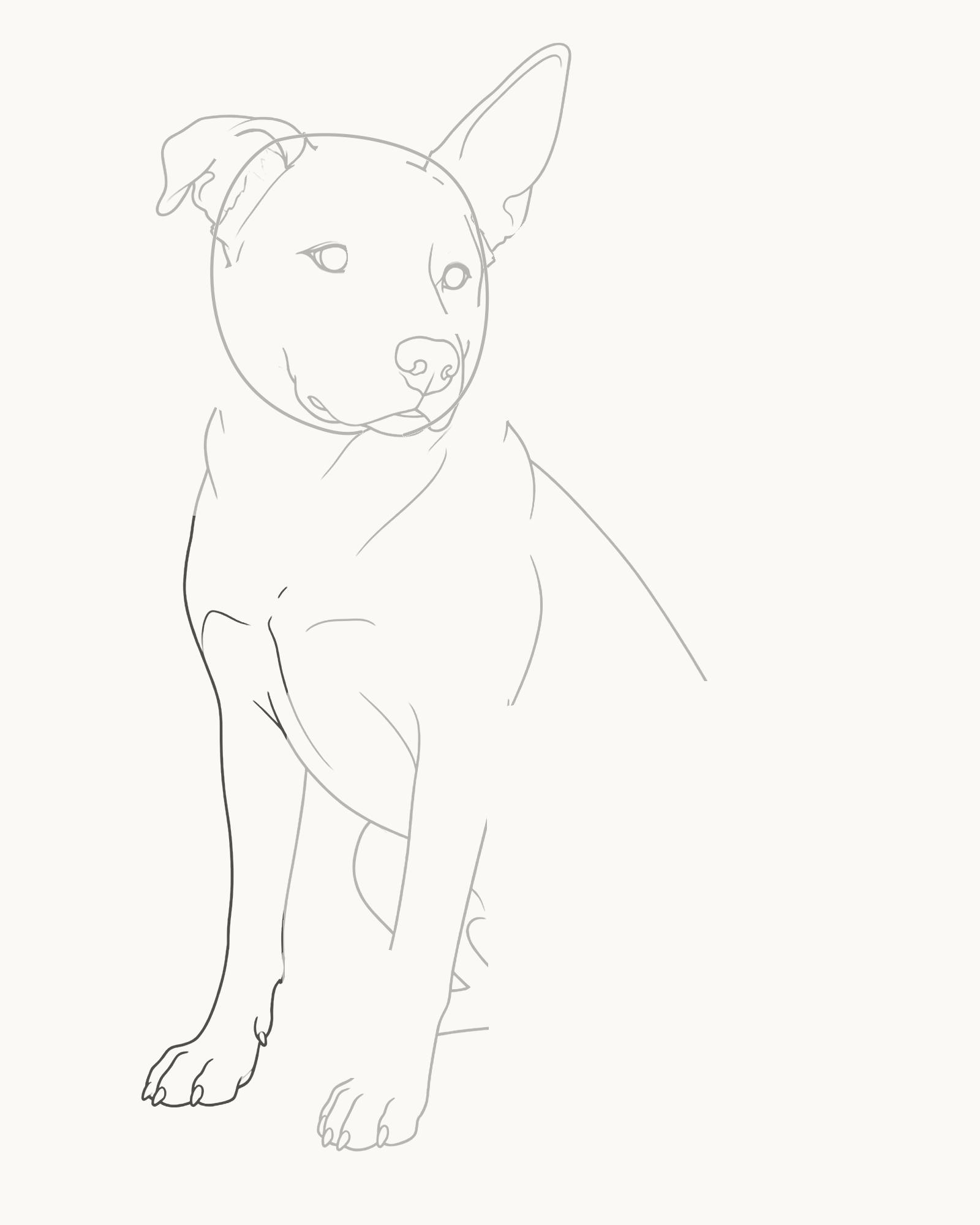 Stage 6 dog drawing adding the narrower partly hidden far front leg and smaller grounded paw