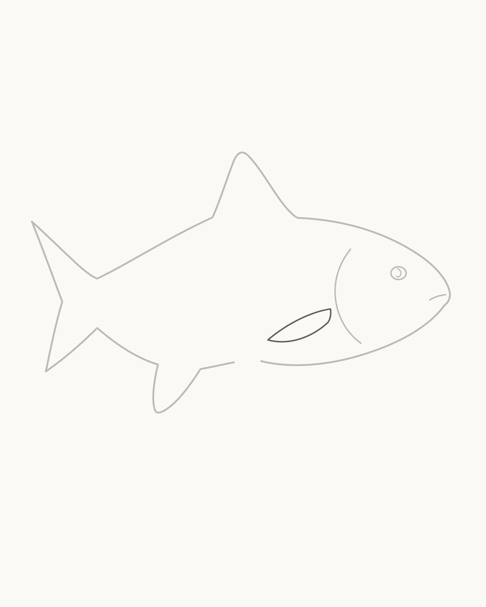 Stage 6 fish drawing adding a tapered near pectoral fin inside the body just behind and below the gill cover