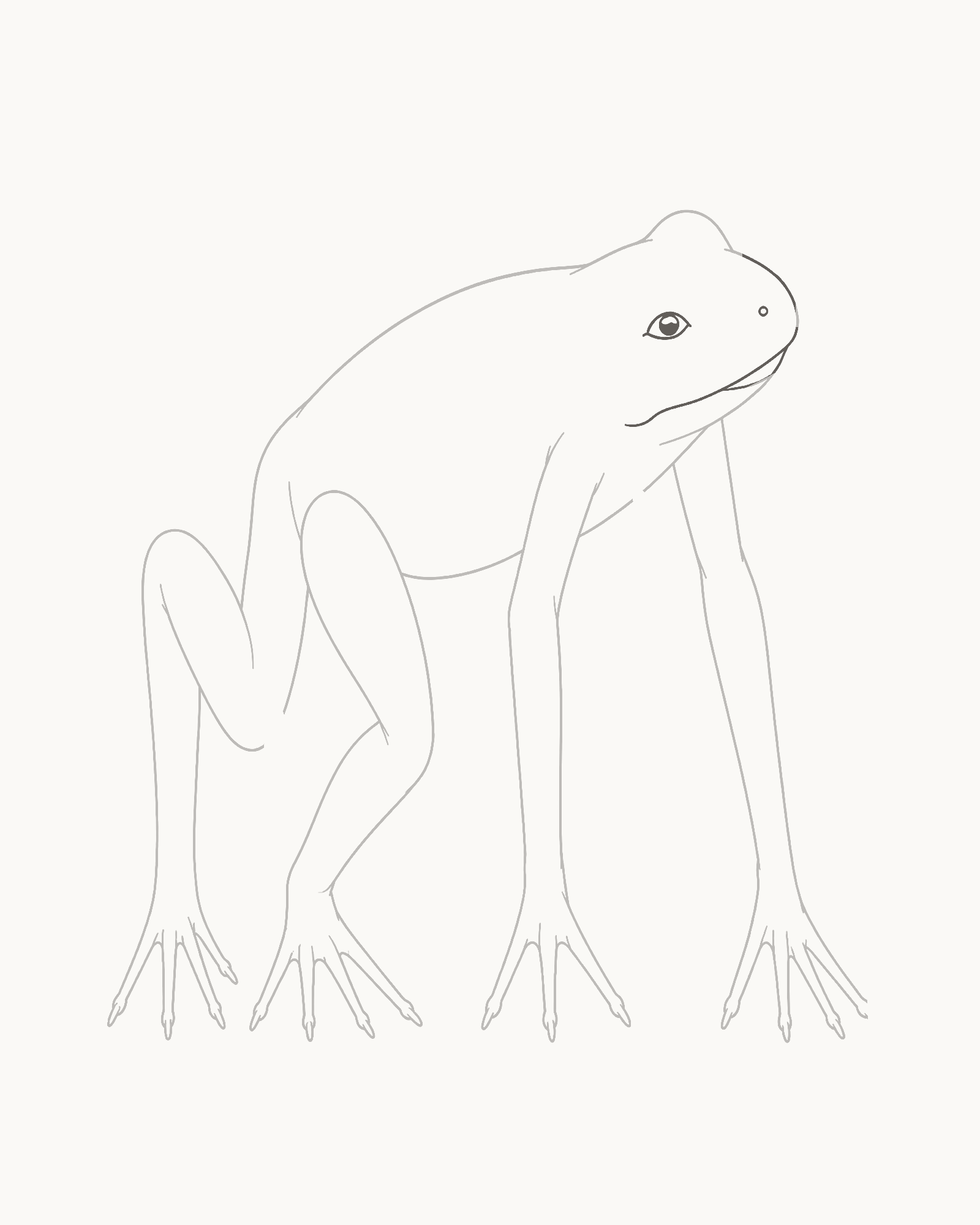 Stage 7 frog drawing adding one small near eye with a minute pupil reserve, one nostril and a restrained open mouth seam while the far eye stays hidden