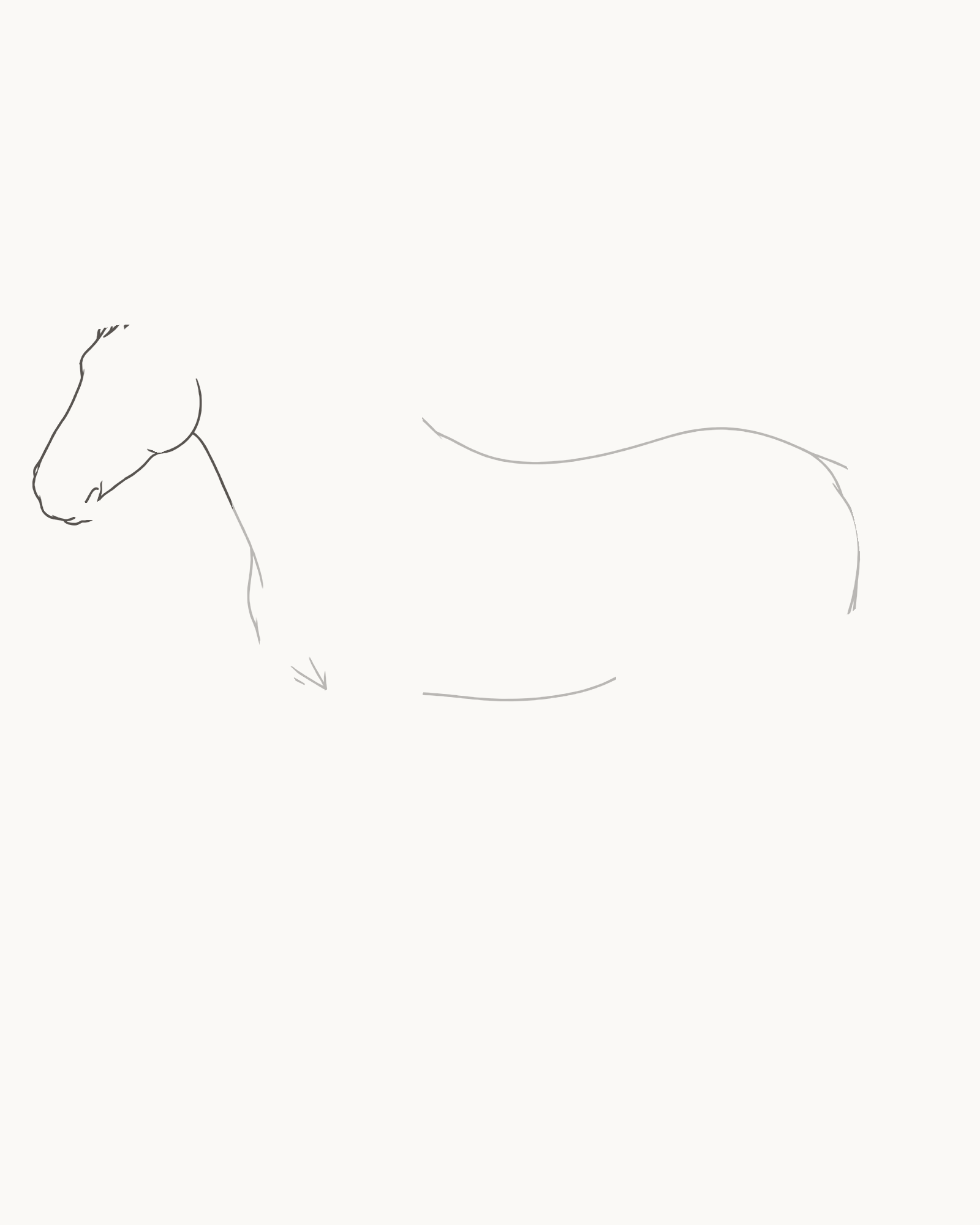 Stage 2 horse drawing adding the left-facing forehead, long softly squared muzzle, lower jaw and two neck connections to the fixed torso
