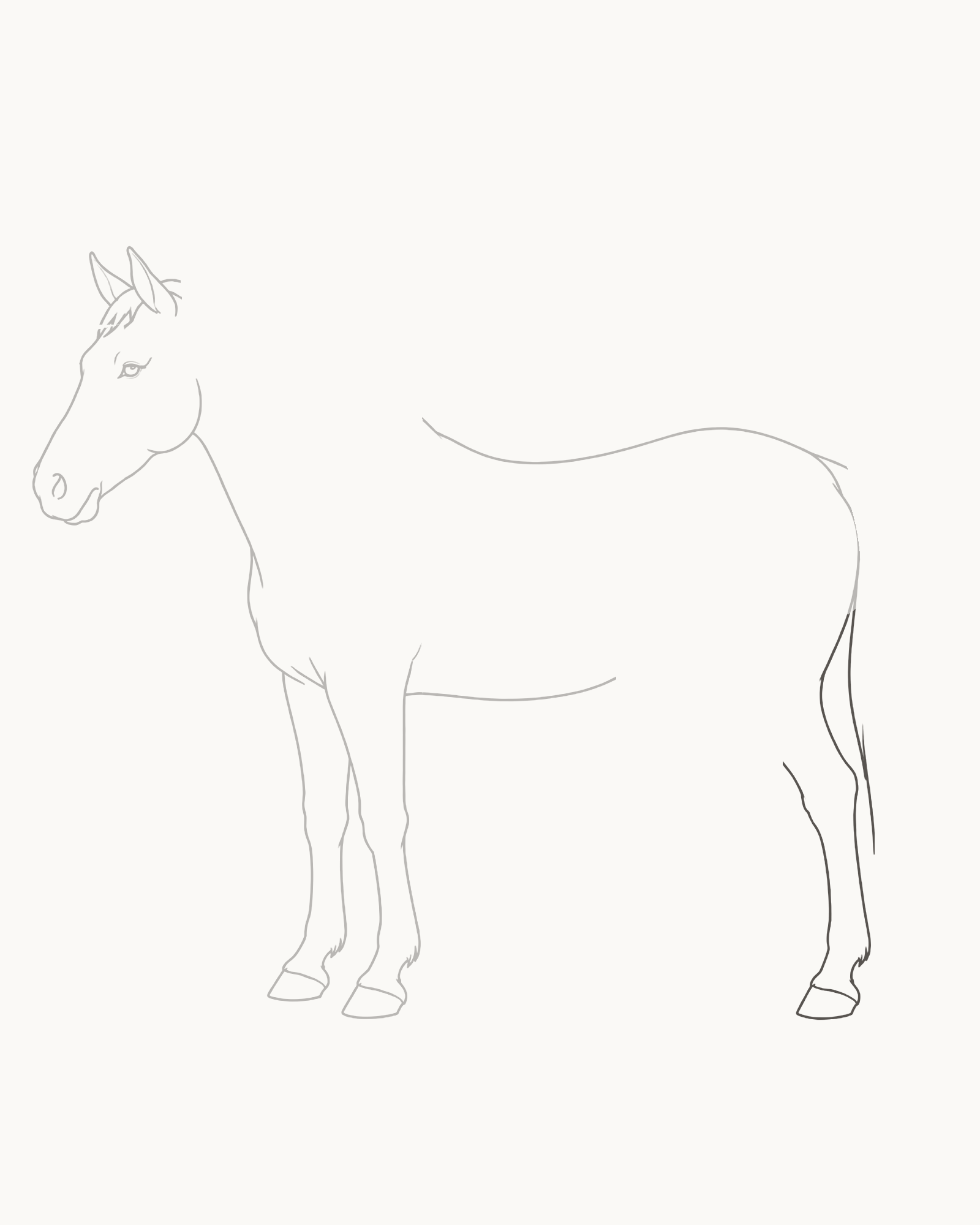 Stage 6 horse drawing adding the complete near hind support from the rump through a broad thigh, backward hock and attached hoof