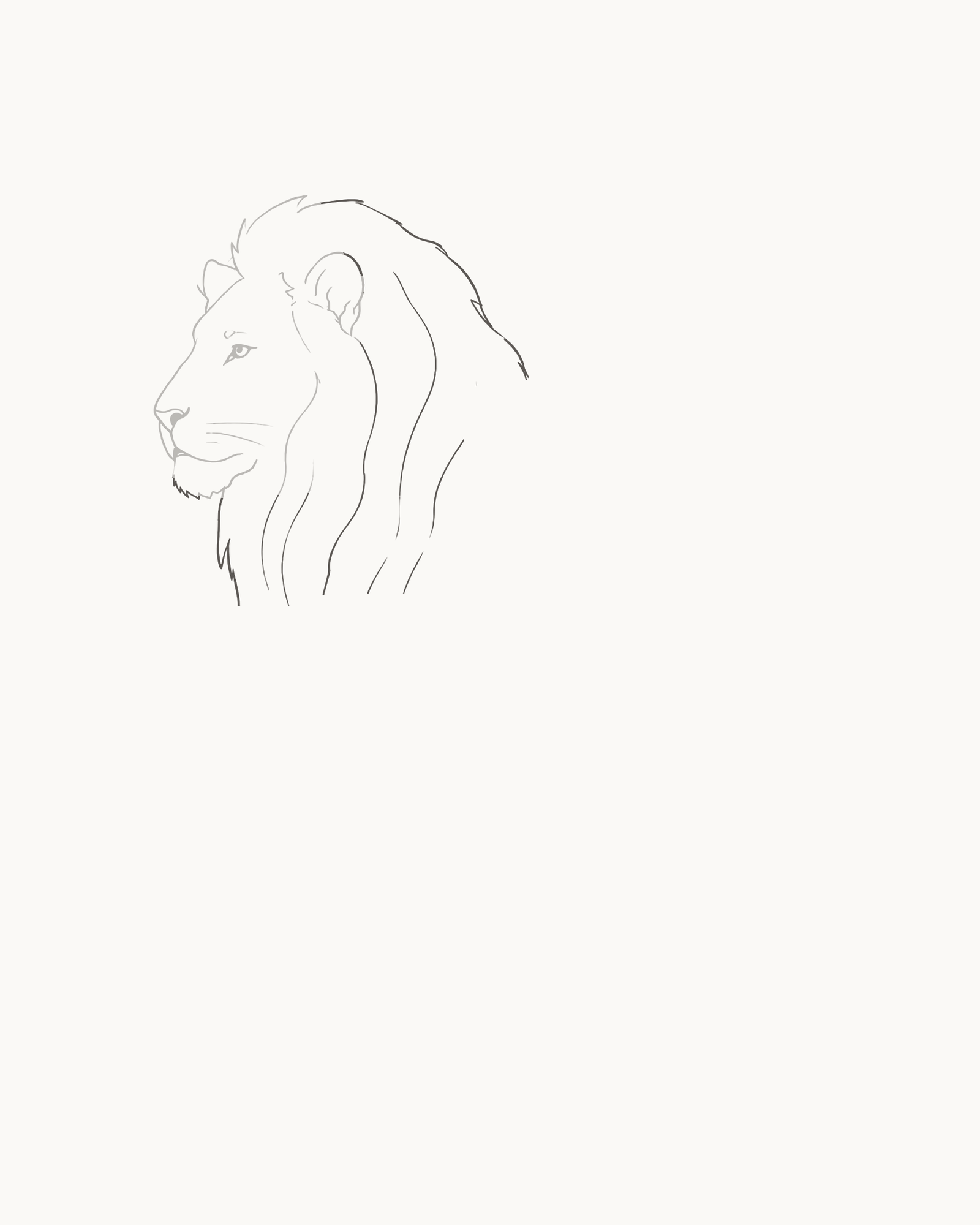Stage 3 lion drawing adding one irregular attached mane with separate chest and back exits and five long internal flow divisions