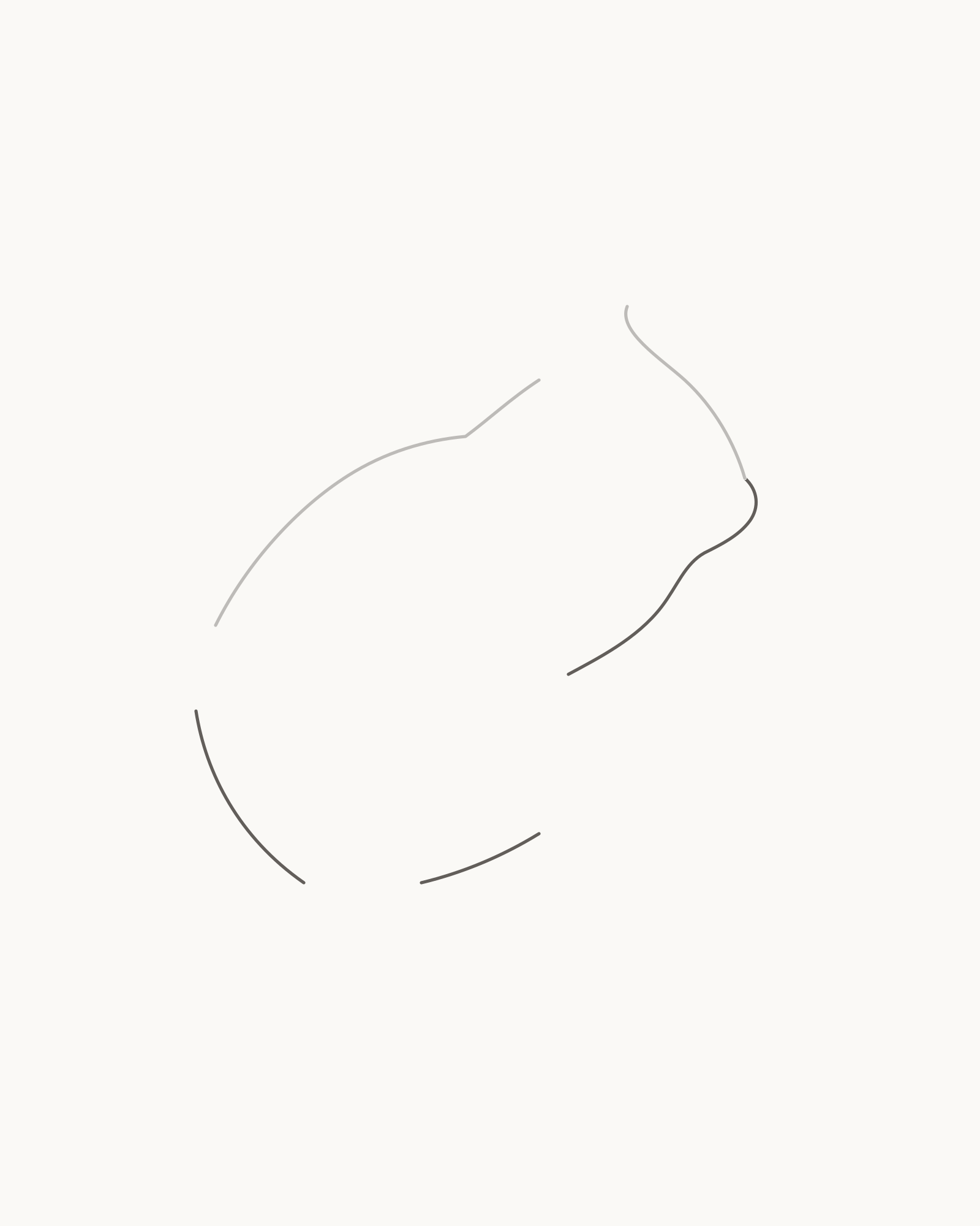 Stage 2 rabbit drawing adding three permanent lower contour intervals from nose through jaw and chest, along the belly, and from lower tail root around the rump while preserving foreleg, hind-foot and tail openings