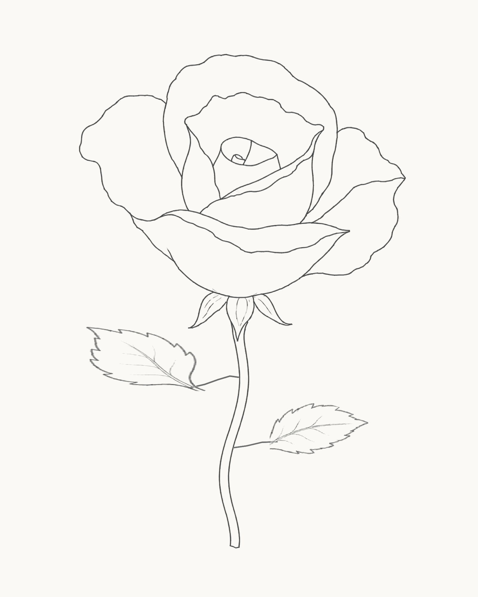Complete rose line drawing with an open bloom, three sepals, an S-curve stem and two unequal attached leaves