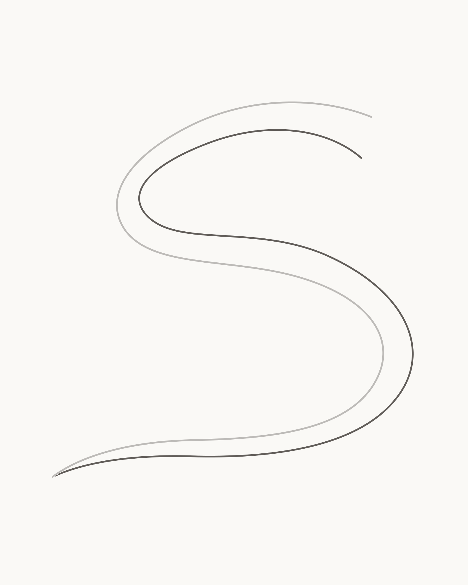 Stage 2 snake drawing adding the inside contour from the exact tail point back through both turns to the lower head opening
