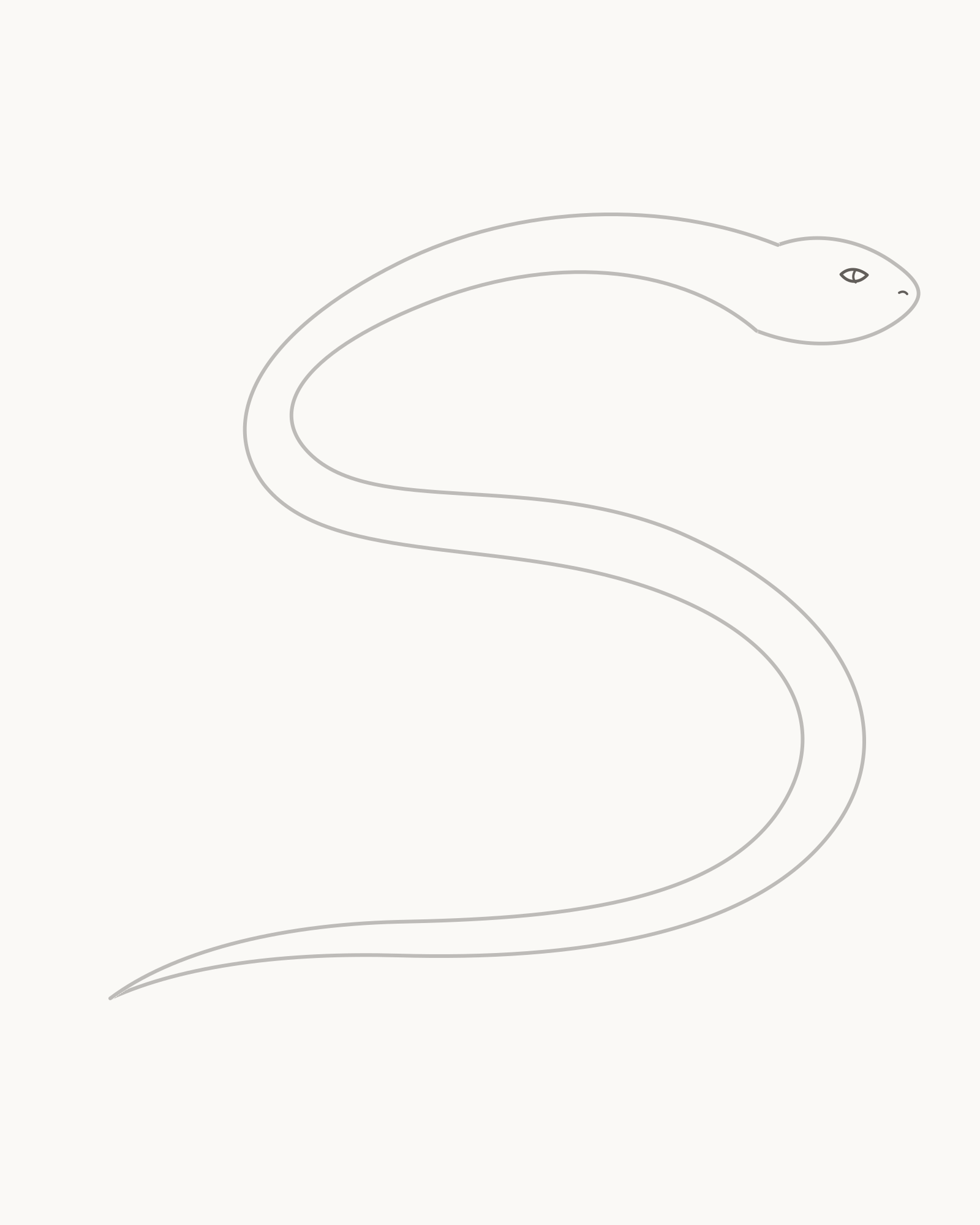 Stage 4 snake drawing adding one small near almond eye with an open highlight and one understated nostril inside the fixed head