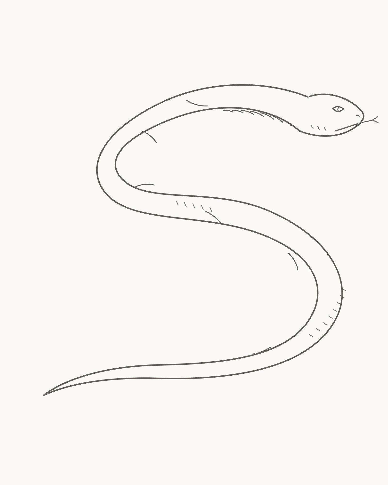 Complete line drawing of a species-neutral snake in a loose S curve with a tapered tail, attached wedge-shaped head and sparse surface marks