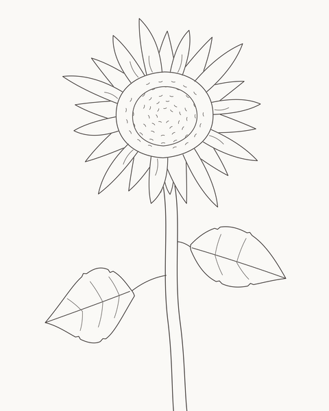 Completed sunflower with layered rays, curved stem and two broad leaves