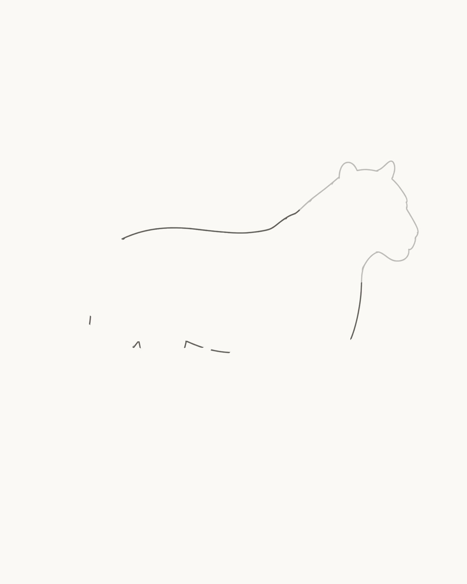 Stage 2 tiger drawing adding the upper shoulder, back and rump contour plus short chest, belly and rump intervals with permanent openings for the legs and tail