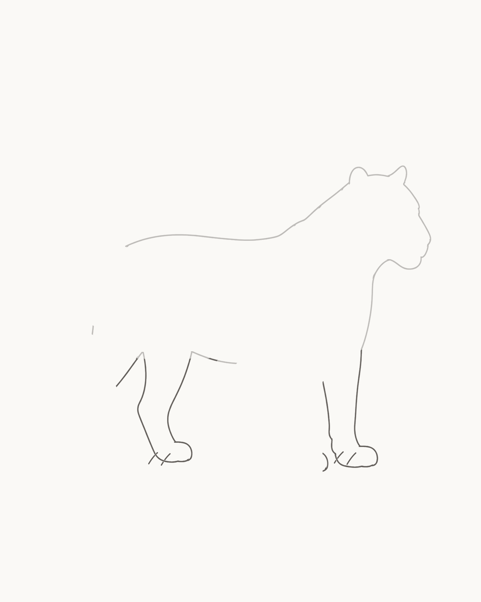 Stage 3 tiger drawing adding the steady near foreleg and bent near hind leg, each attached to its planned opening and ending in a broad grounded paw