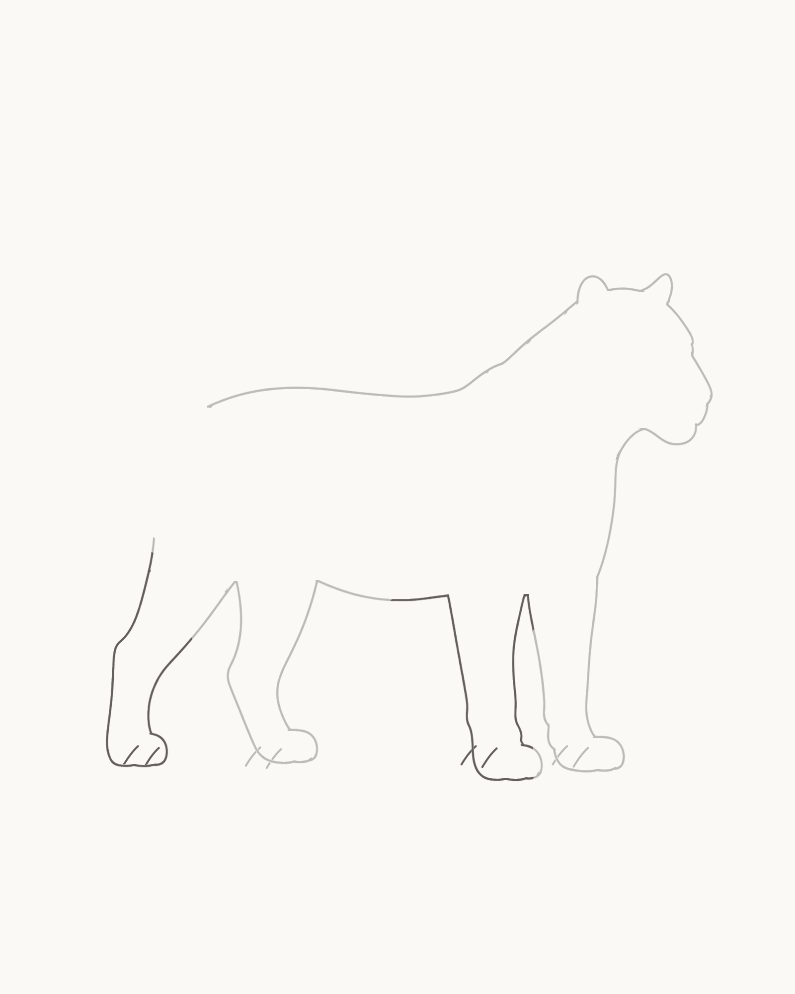 Stage 4 tiger drawing adding two offset far-side legs from visible interior attachments behind the existing near legs