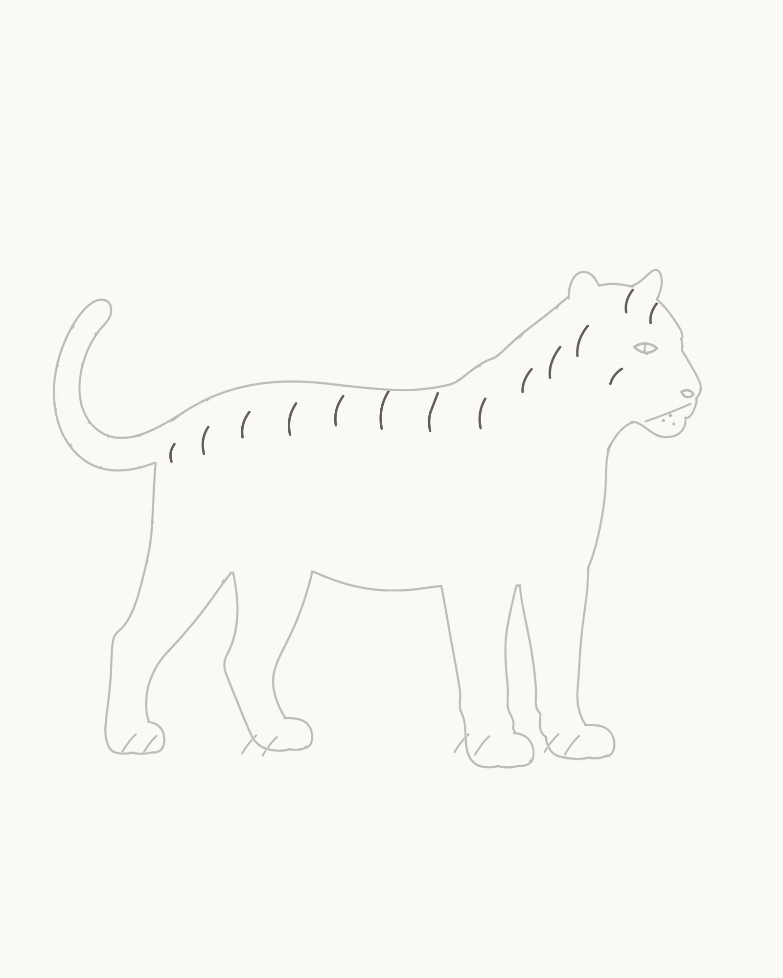 Stage 7 tiger drawing adding exactly fourteen unequal open stripe contours across the head, neck, shoulder, torso and hindquarter