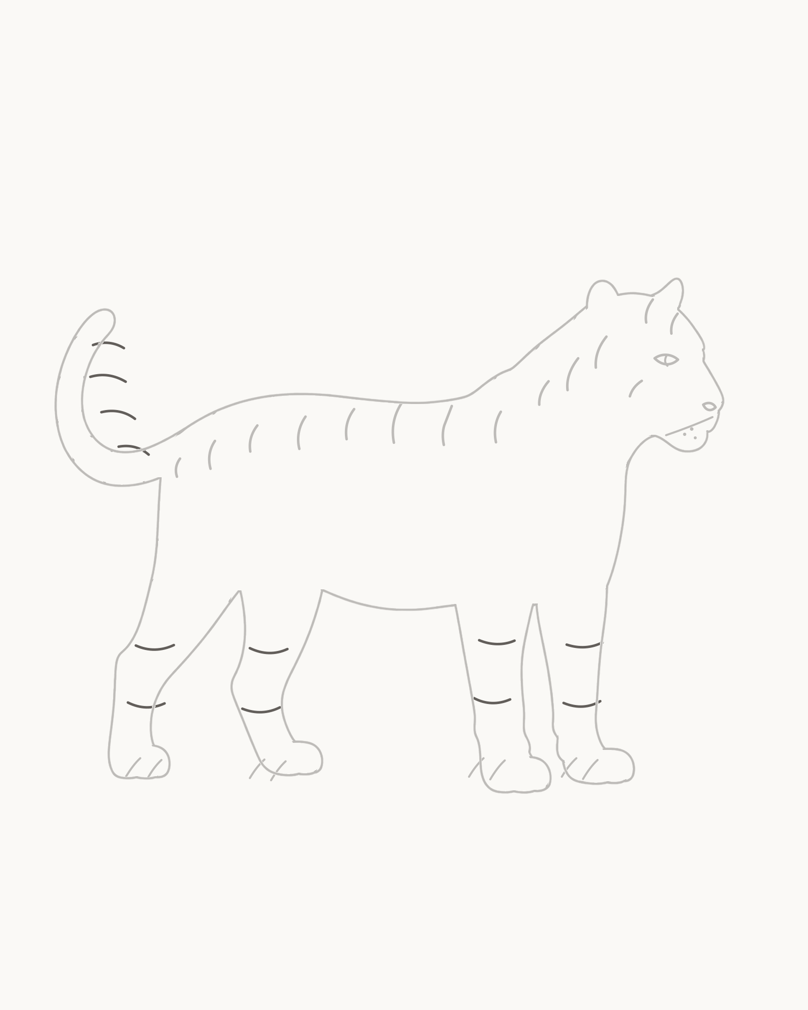 Stage 8 complete tiger line drawing adding exactly two open bands to each leg and four unequal partial rings to the tapering tail