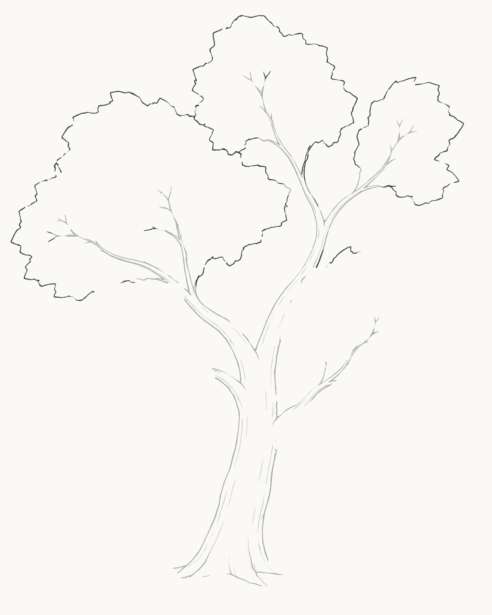 Stage 5 tree drawing adding broad-left, highest-centre and upper-right foliage groups around the visible branches