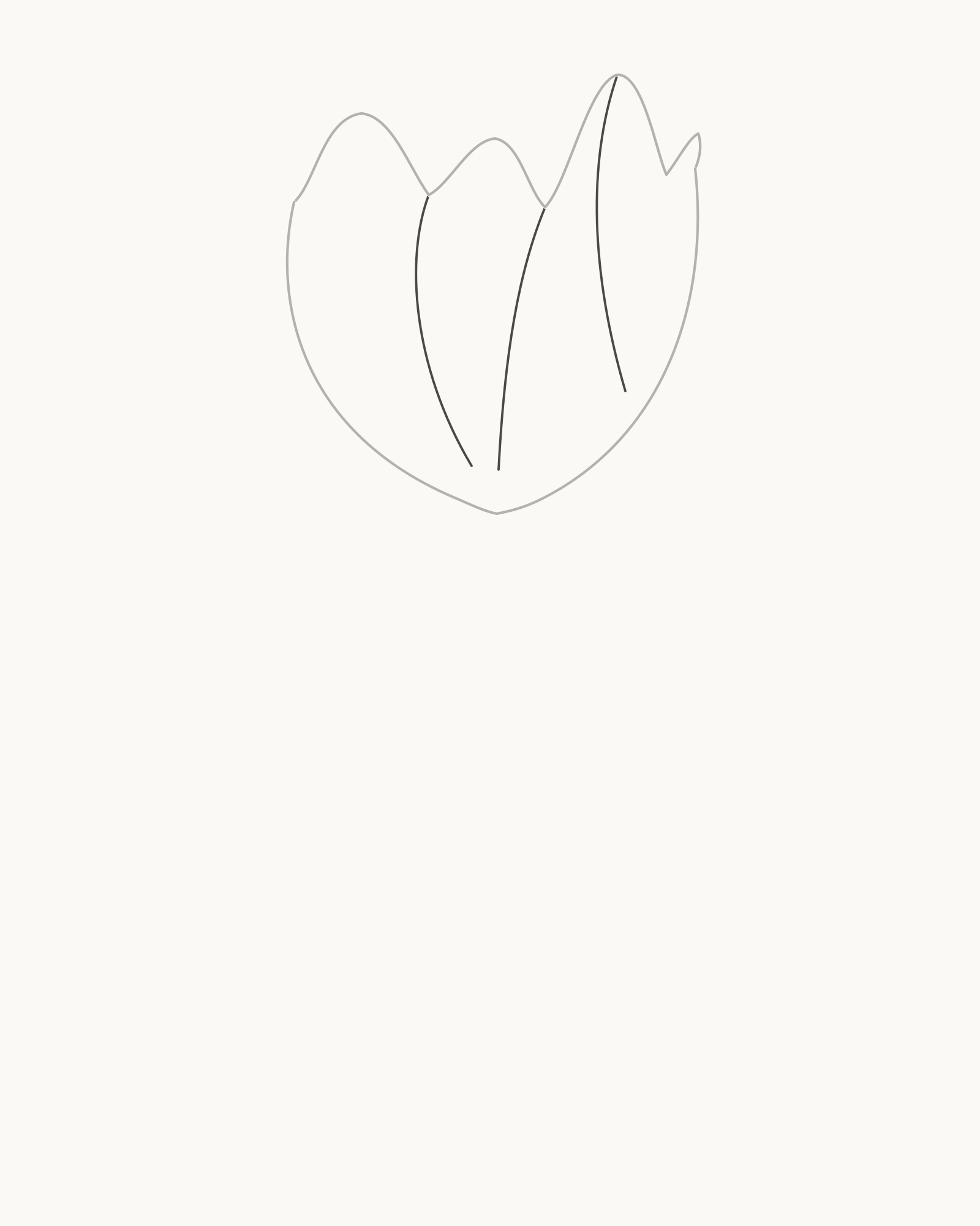 Stage 3 tulip drawing adding three distinct petal overlap seams from the preserved top rim