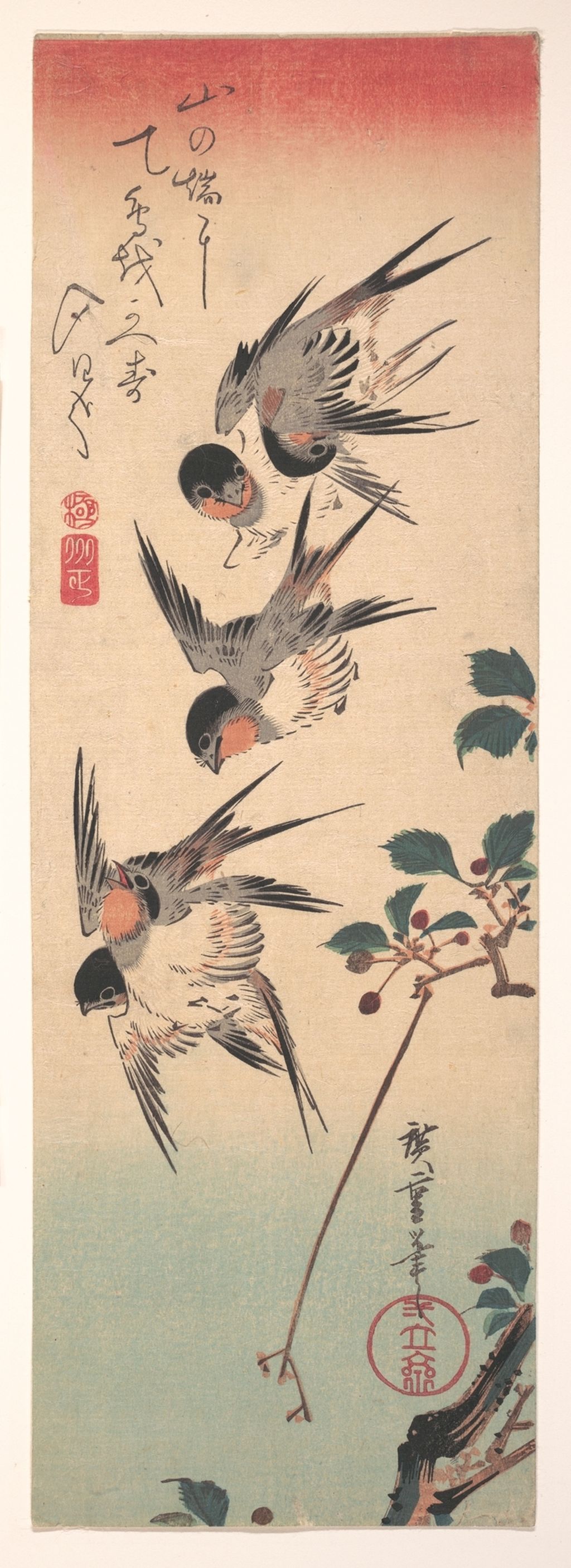 Swallows and Budding Wild Cherry