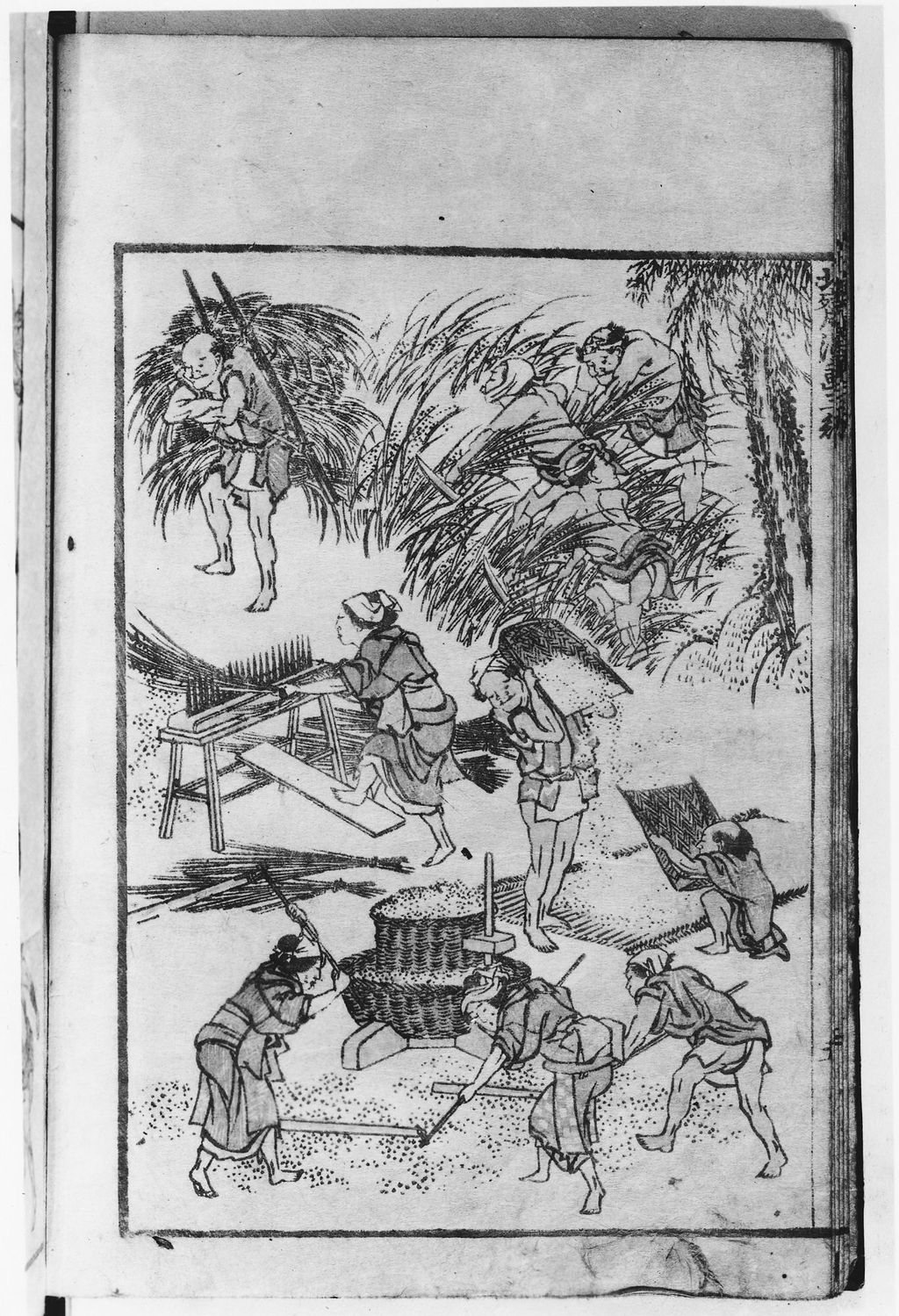 Hokusai Manga volume 3: figures gathering and processing plants