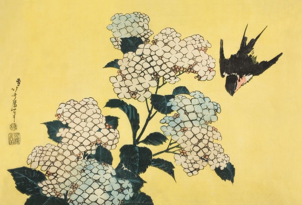 Hydrangea and Swallow
