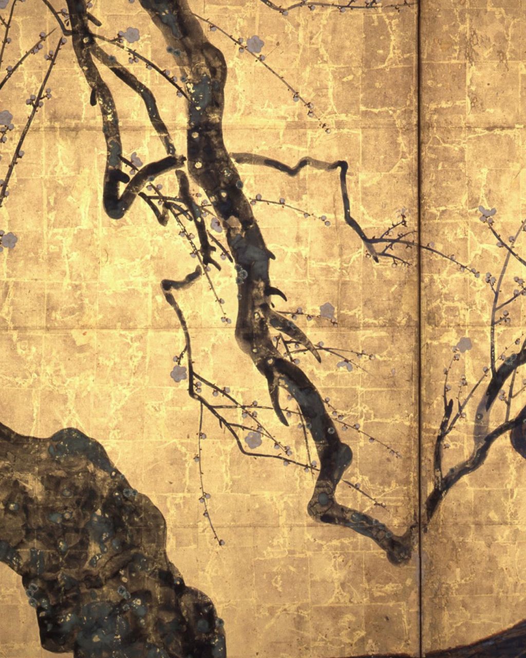 白梅:画面外へ続く幹