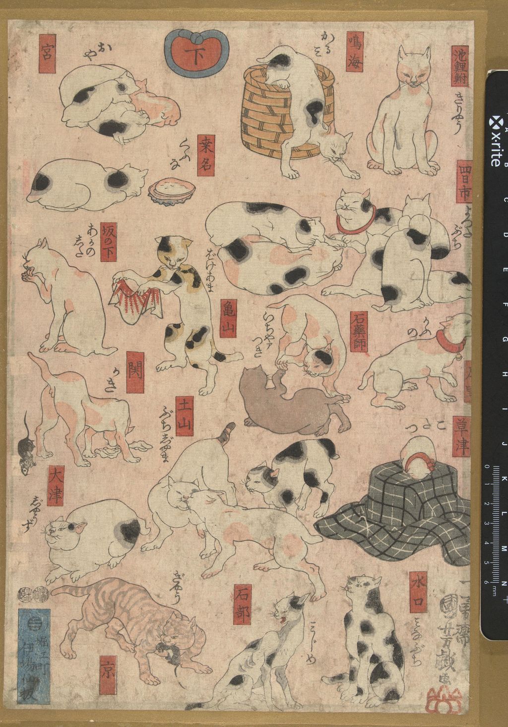 One sheet of *Fifty-three Cats*