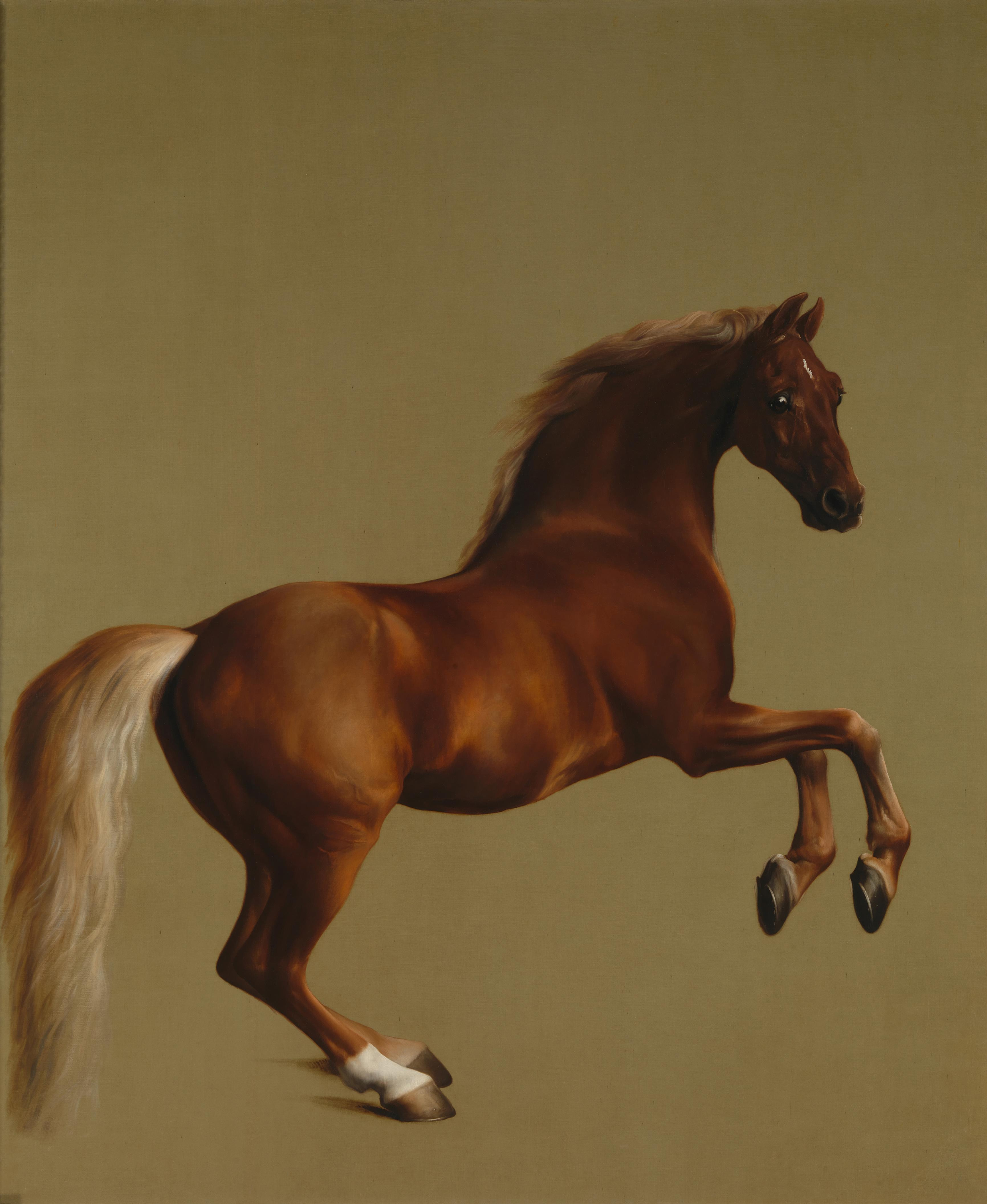 George Stubbs's chestnut stallion Whistlejacket rears against a plain warm background with no rider or landscape.