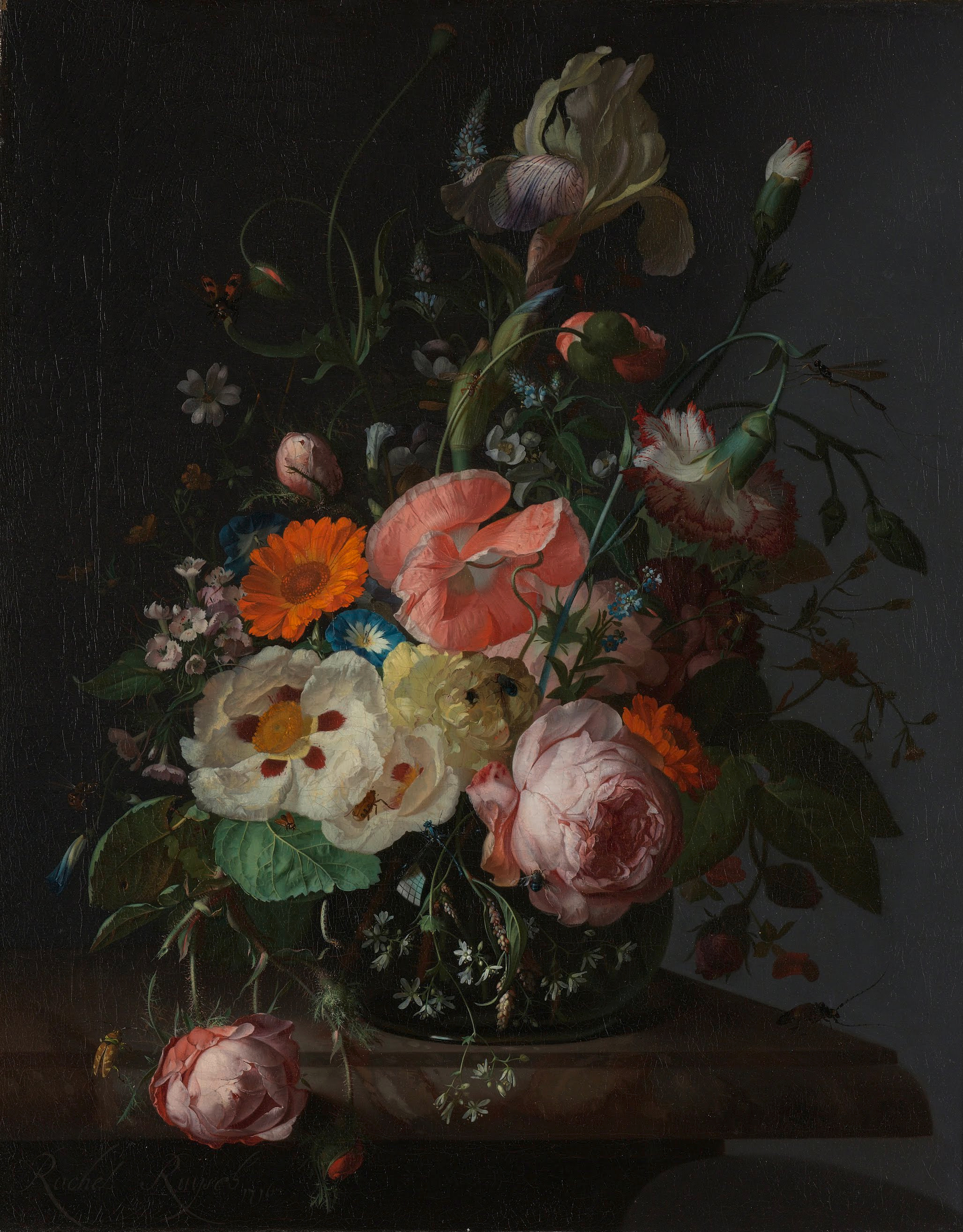 Rachel Ruysch