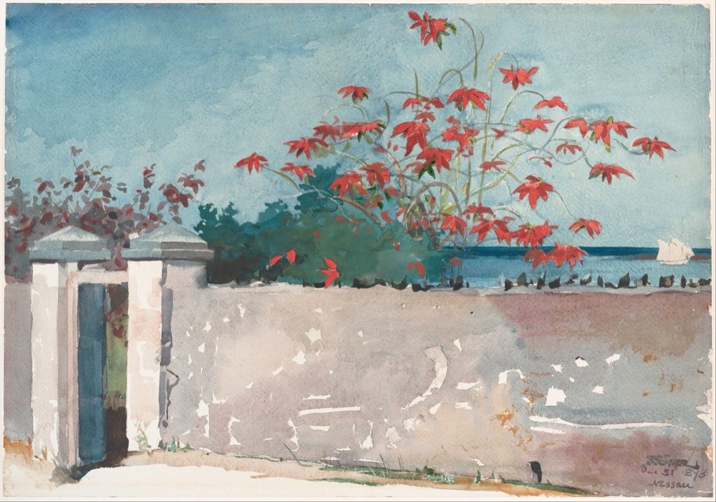 Winslow Homer's A Wall, Nassau, painted with transparent watercolour and graphite on paper.