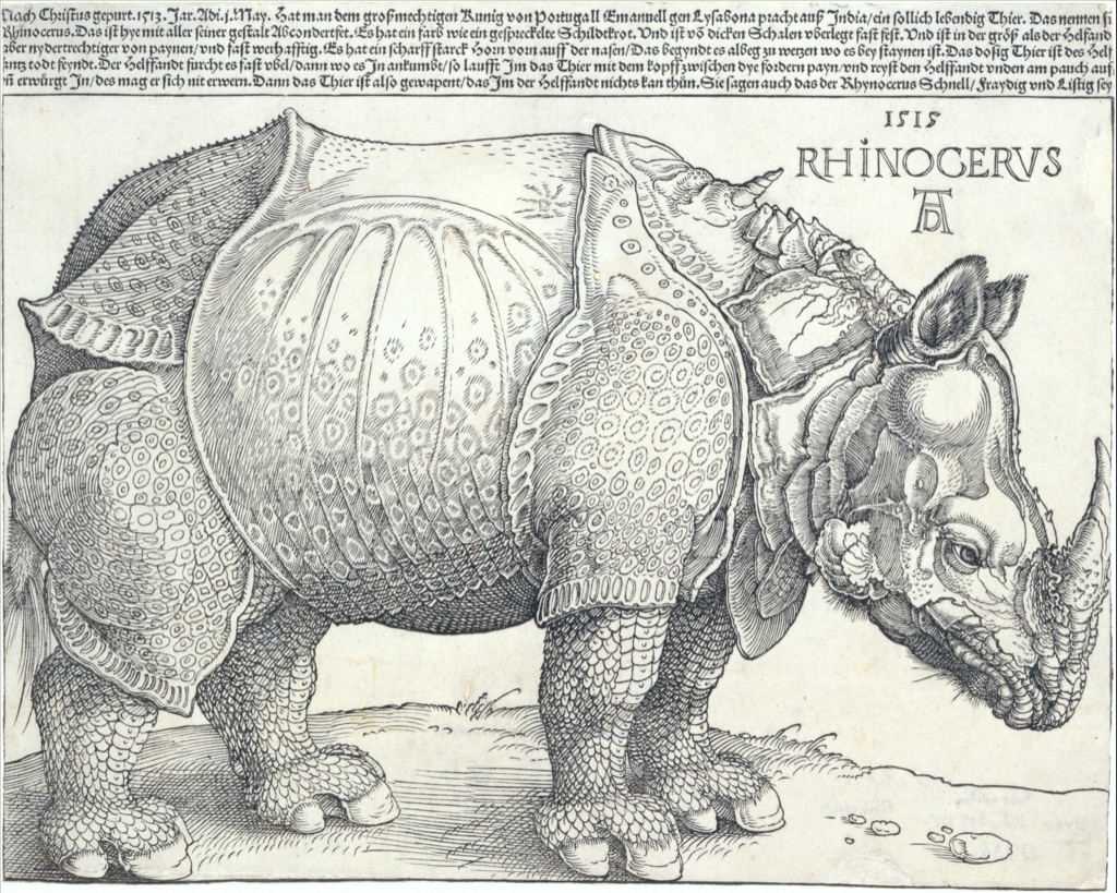 Dürer's Rhinoceros fills a woodcut with dense outlines, hatching and patterned armour-like skin beneath an inscription.