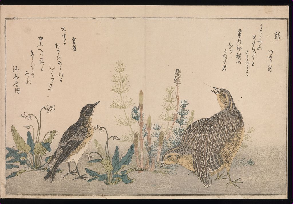 《百千鳥狂歌合》の草花と鳥