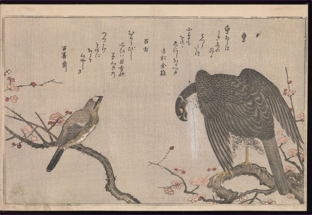 《百千鳥狂歌合》の大きな鳥と小鳥