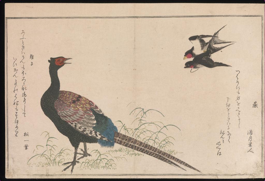 《百千鳥狂歌合》の尾の長い鳥と飛ぶ小鳥
