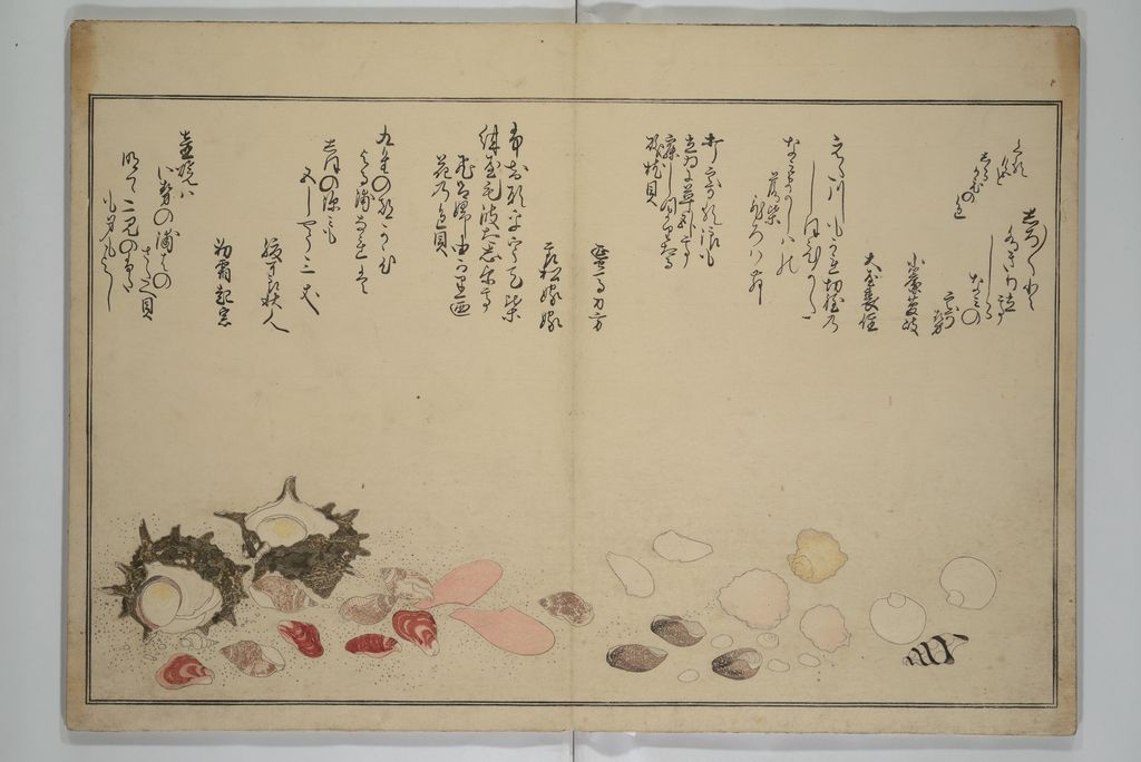 《潮干のつと》の色とりどりの貝